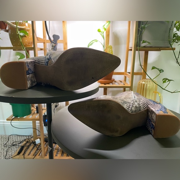 Steve Madden Snakeskin Booties - Picture 3 of 4